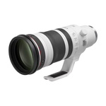 Canon RF 100-300mm f/2.8 L IS USM