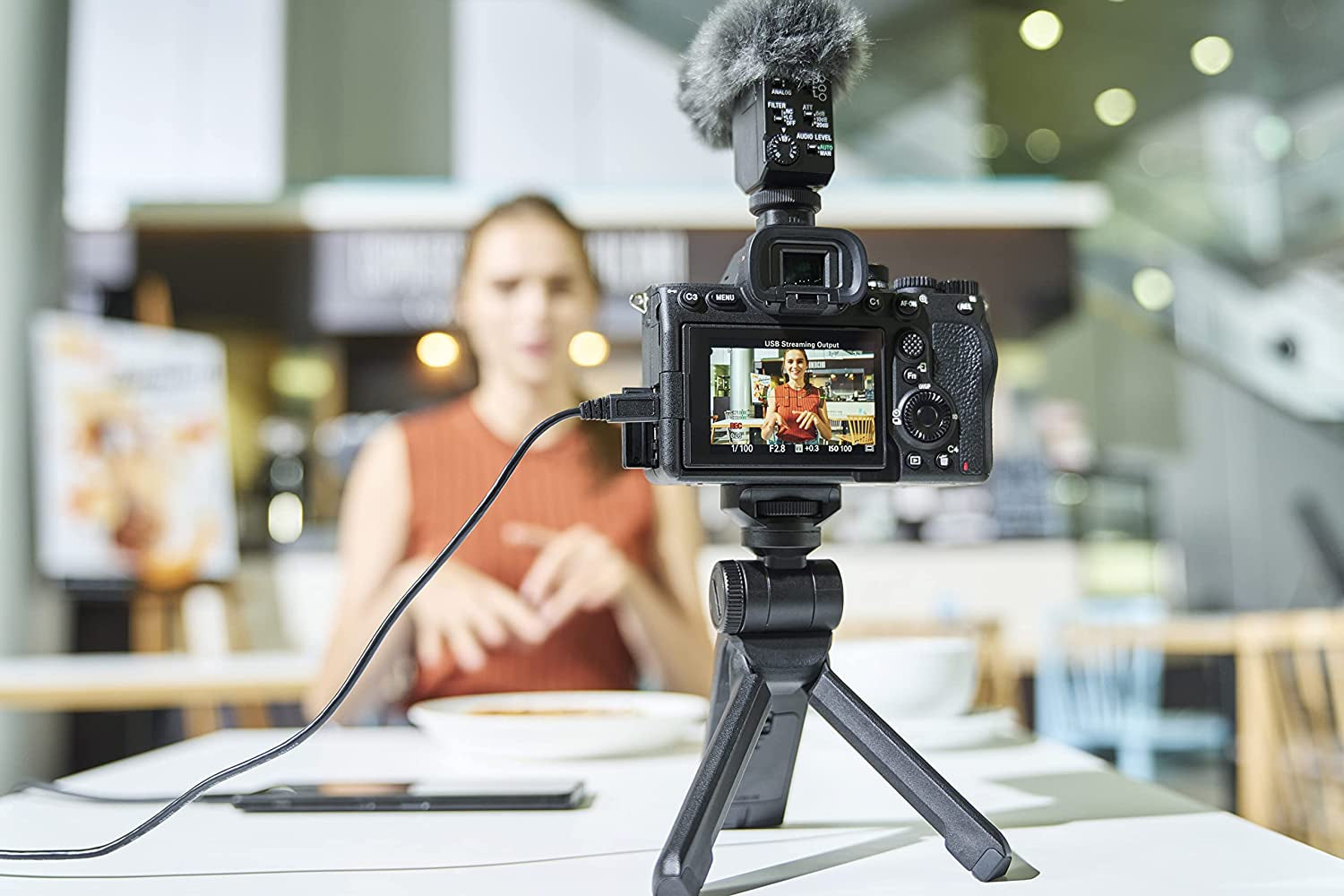 Alpha 7 IV | Appareil Photo Hybride Expert Plein Format (33 Mégapixels, Mise Au Point AF En Temps Réel, Rafale À 10 Images/S, Vidéo 4K 60P, Écran Orientable Full Tactile, Nouveaux Menus) Noir