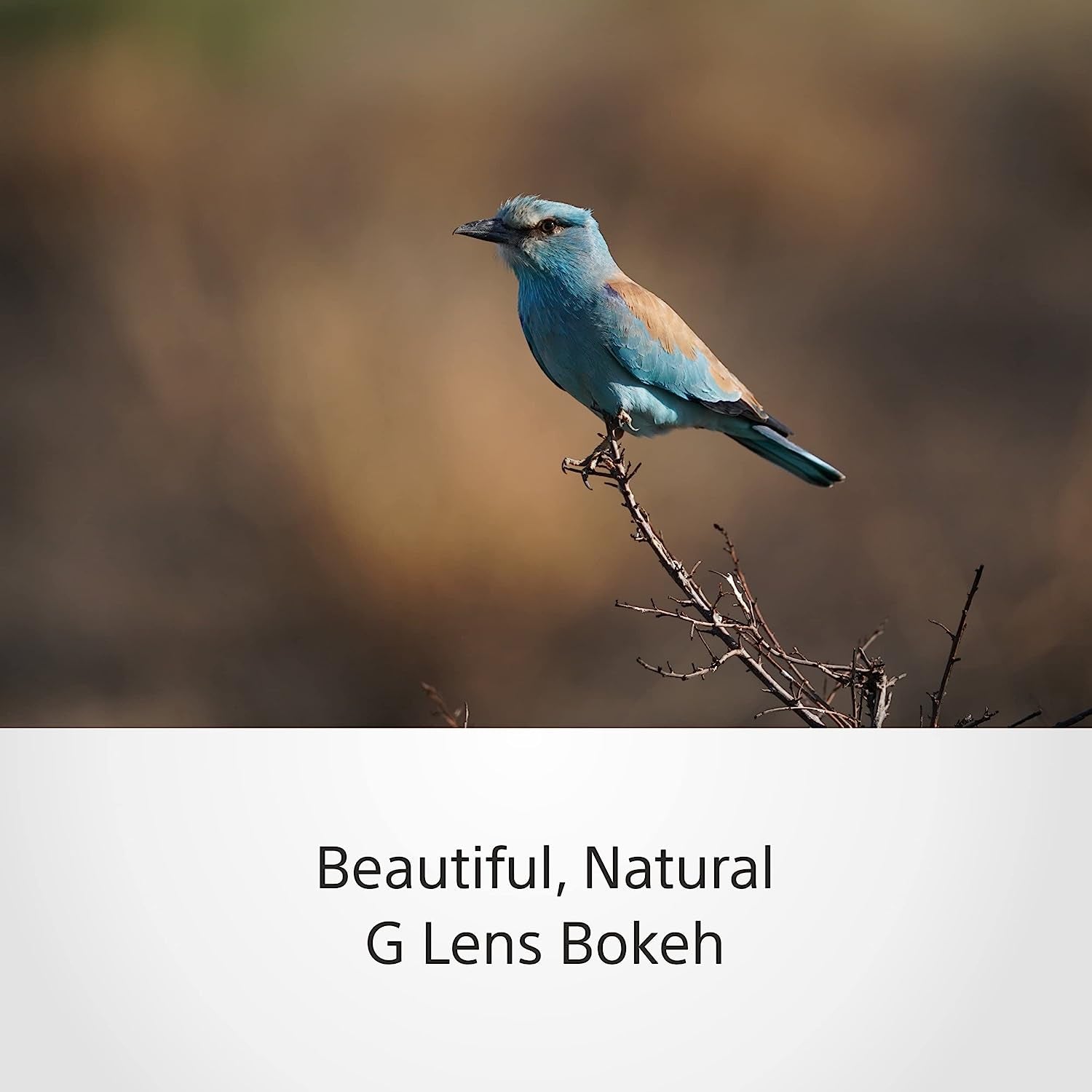 SEL-200600G Objectif G 200-600 Mm F5.6-6.3 Pour  Alpha 7, Alpha 9, Alpha 6400, Alpha 6500, Alpha 5100