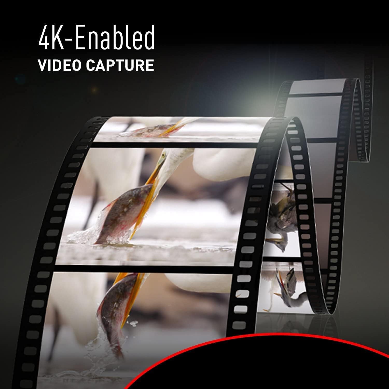 LEICA 12Mm F1.4 | Objectif À Focale Fixe H-X012E (Grand Angle 12Mm, Grande Ouverture F1.4, Equiv. 35Mm : 24Mm) Noir – Compatible Monture Micro 4/3  & Olympus