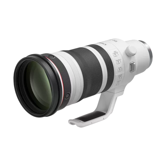 Canon RF 100-300mm f/2.8 L IS USM