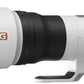 Sony FE 600mm f4