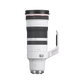 Canon RF 100-300mm f/2.8 L IS USM