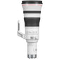 Canon RF 800mm f5.6 L IS USM