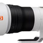 Sony FE 600mm f4