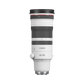 Canon RF 100-300mm f/2.8 L IS USM