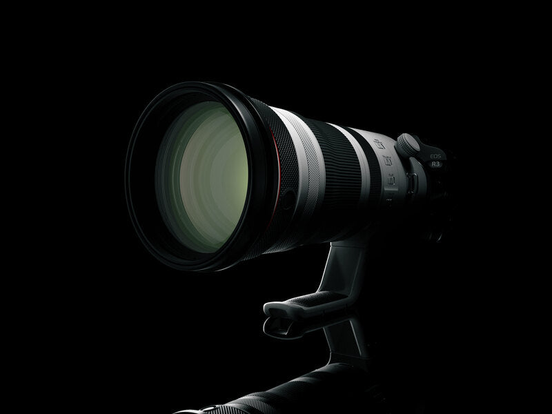 Canon RF 100-300mm f/2.8 L IS USM