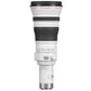 Canon RF 800mm f5.6 L IS USM