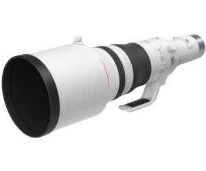 Canon RF 800mm f5.6 L IS USM | L'excellence optique pour les clichés les plus lointains.