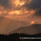 Nikkor AF-S - T L Objectif Zoom - 80 Mm - 400 Mm - F-4-5-5-6 G ED AF-S VR -  F