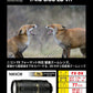 Nikkor AF-S - T L Objectif Zoom - 80 Mm - 400 Mm - F-4-5-5-6 G ED AF-S VR -  F