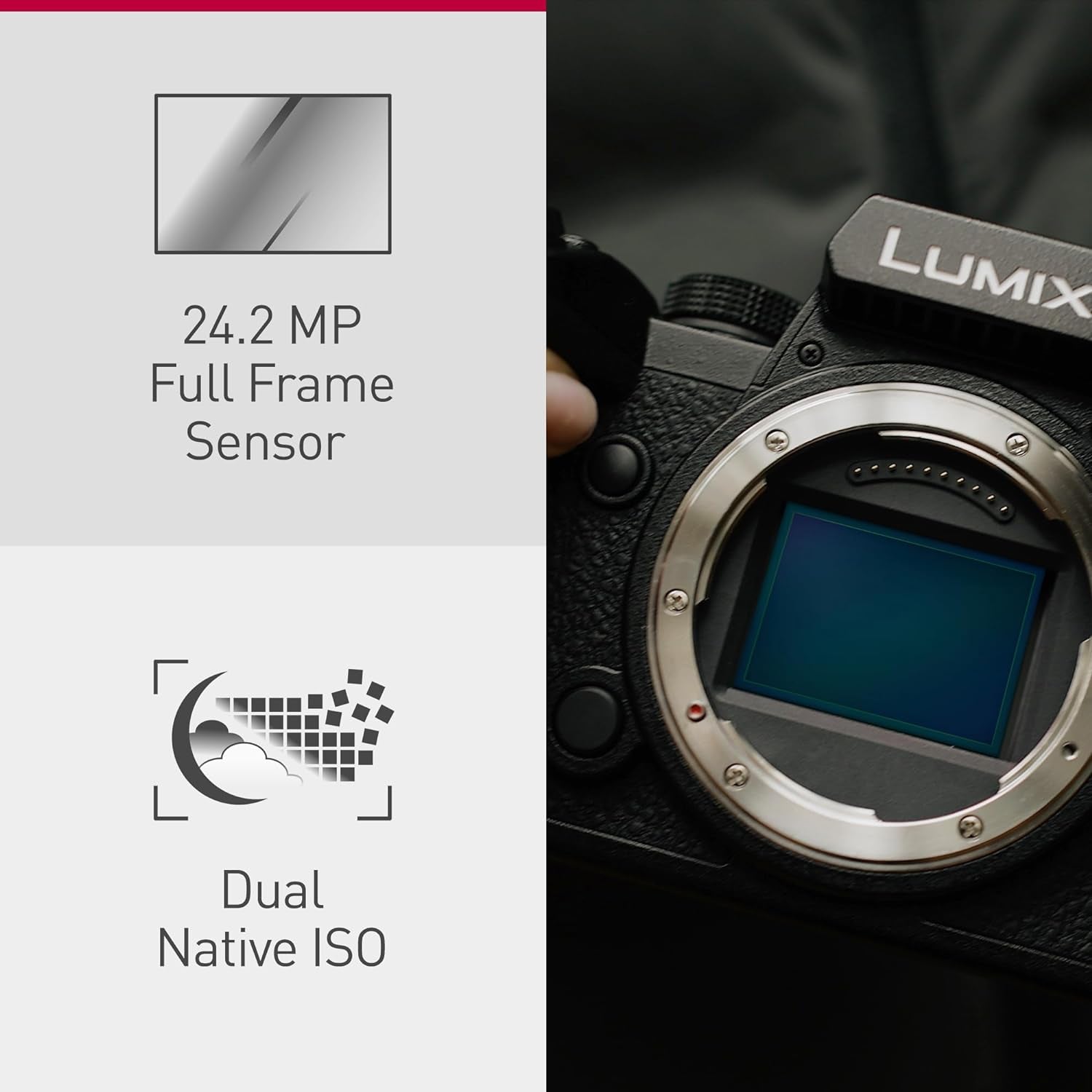 Lumix S5M2 | Appareil Photo Hybride Plein Format + Batterie (24MP, Autofocus Phase, Double Stabilisation, Vidéo 6K 10Bit Illimité, Rafale AFC 30Ips, Tropicalisé) – Version Française