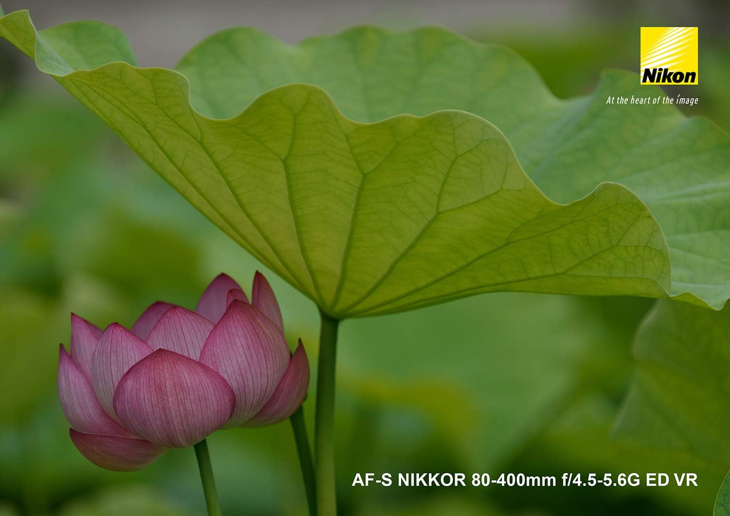 Nikkor AF-S - T L Objectif Zoom - 80 Mm - 400 Mm - F-4-5-5-6 G ED AF-S VR -  F