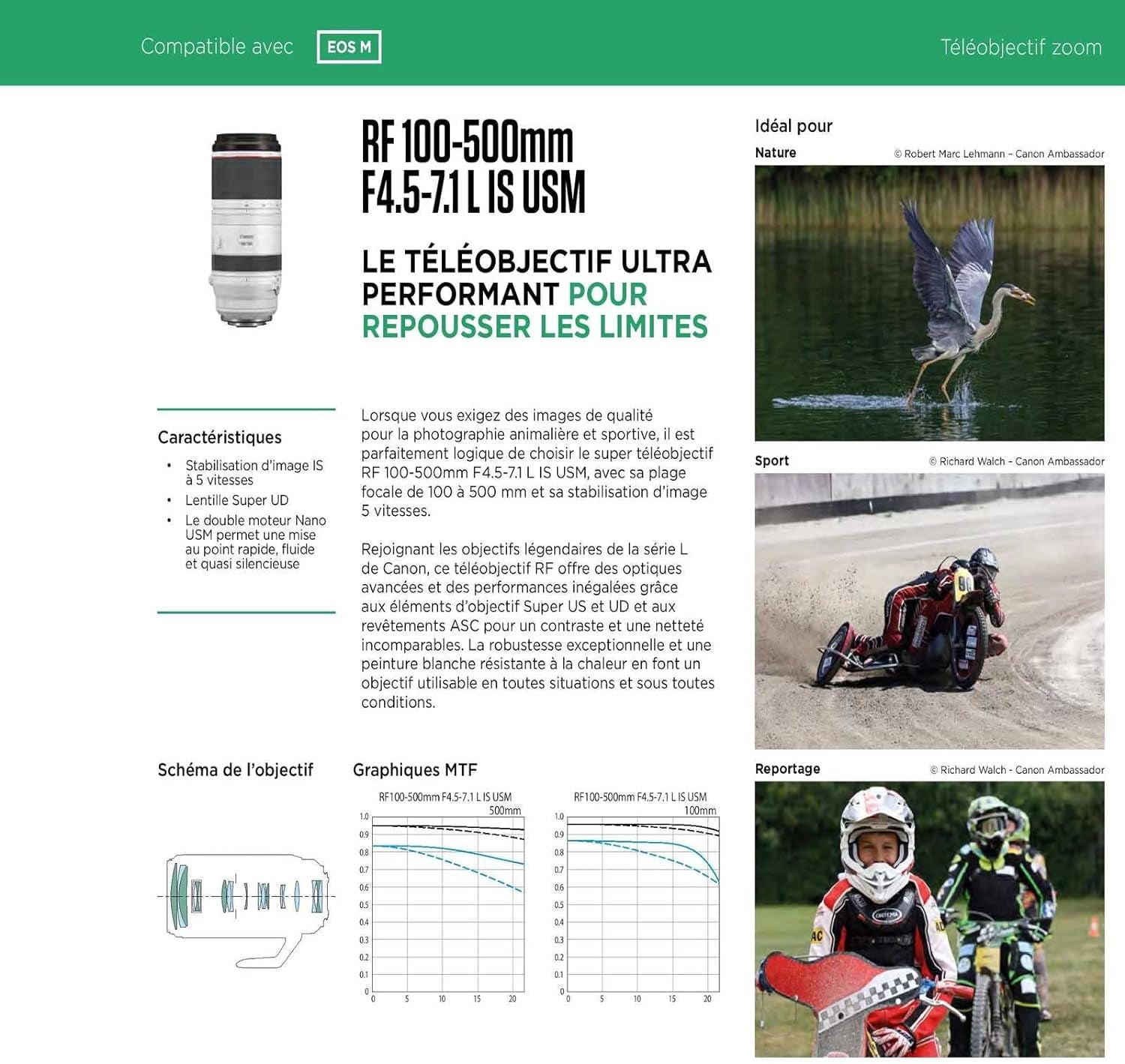 Canon RF 100-500mm f/4.5-7.1 L IS USM