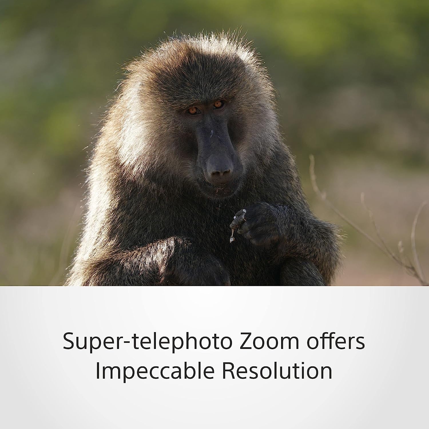 SEL-200600G Objectif G 200-600 Mm F5.6-6.3 Pour  Alpha 7, Alpha 9, Alpha 6400, Alpha 6500, Alpha 5100