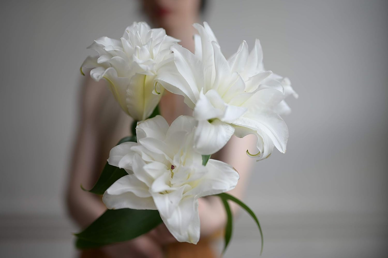 Objectif NIKKOR Z 50Mm F/1.2 S