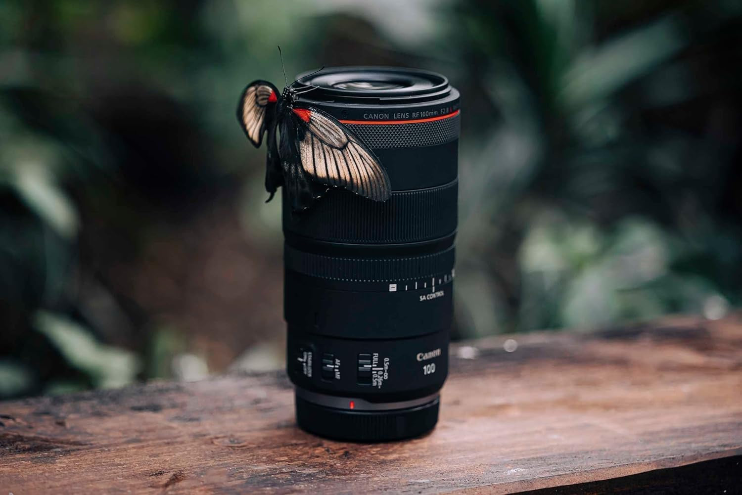 Canon Objectif RF 100Mm F/2.8 Macro L Is USM