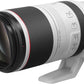 Canon RF 100-500mm f/4.5-7.1 L IS USM