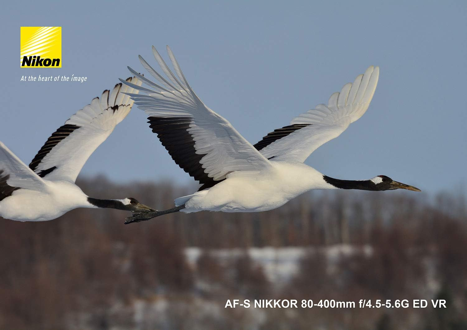 Nikkor AF-S - T L Objectif Zoom - 80 Mm - 400 Mm - F-4-5-5-6 G ED AF-S VR -  F