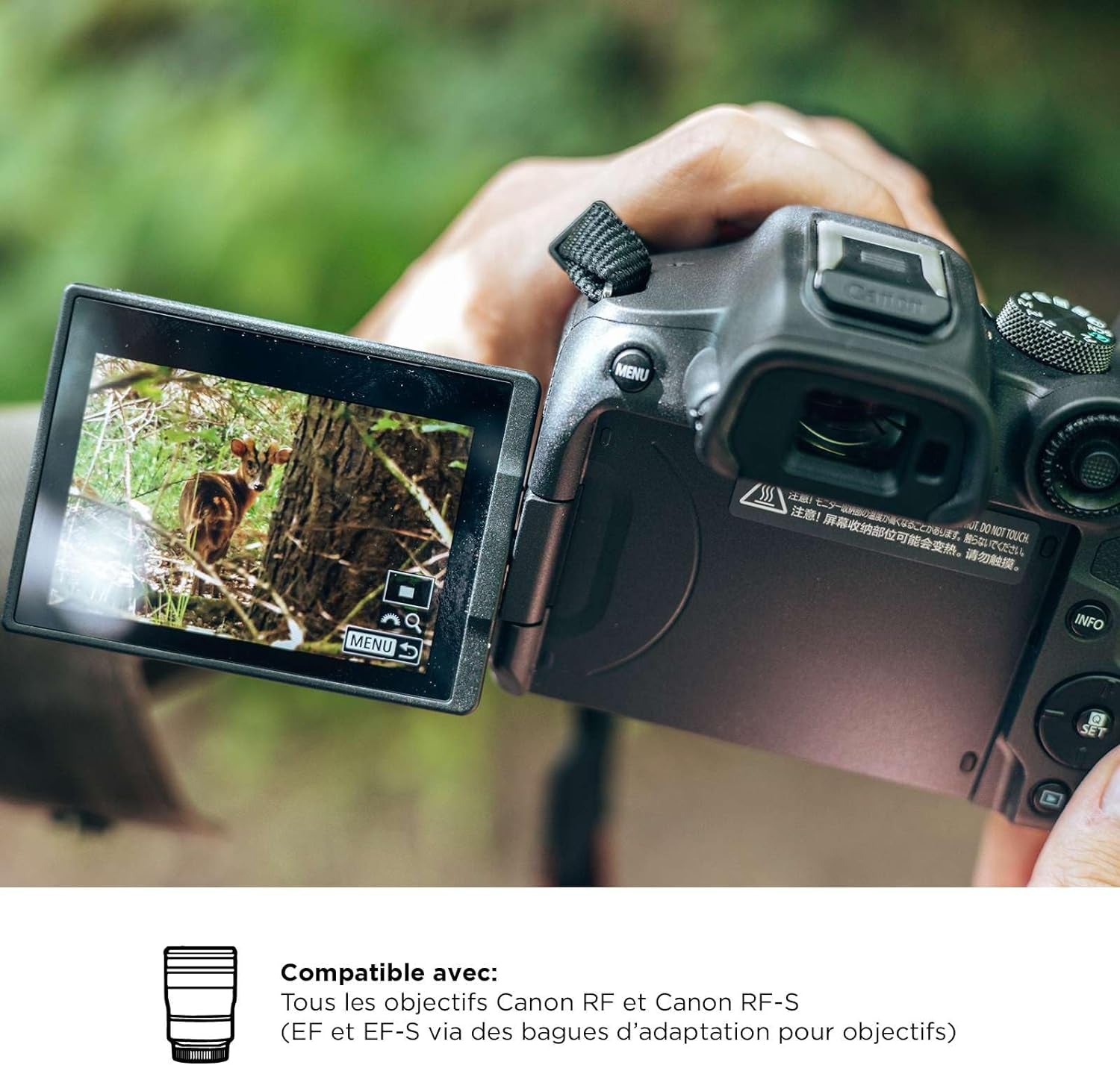 Canon EOS R7